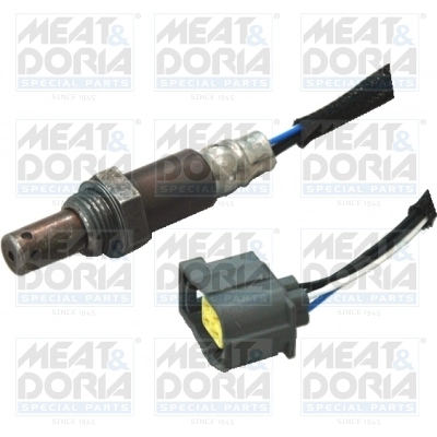 Oxygen Sensor